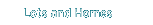 Lots and Homes